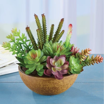 Collections Etc Faux Succulent Plants Arrangement In Pot 3 Collections Etc Faux Succulent Plants Arrangement In Pot