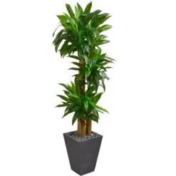 Nearly Natural 5.5-ft Cornstalk Dracaena Artificial Plant In Slate Planter (Real Touch) 5 Nearly Natural 5.5-ft Cornstalk Dracaena Artificial Plant In Slate Planter (Real Touch) -Artificial Plant Store GUEST 70e1c49c fa67 4af1 a498 757983c60764