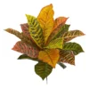 Nearly Natural 17-in Garden Croton Artificial Plant (Real Touch) (Set Of 6) 2 Nearly Natural 17-in Garden Croton Artificial Plant (Real Touch) (Set Of 6) -Artificial Plant Store GUEST 71dc4778 c567 40a9 82c4 e5e1574bdc0e