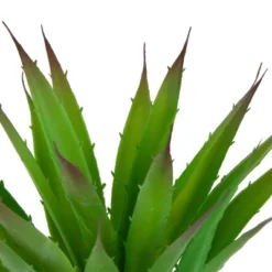 Northlight 13.5" Agave Succulent Artificial Potted Plant - Green/White 12 Northlight 13.5" Agave Succulent Artificial Potted Plant - Green/White -Artificial Plant Store GUEST 734cf9eb 1e2a 4c42 b4ec 2a9ed2f26d92
