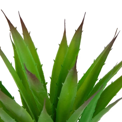 Northlight 13.5" Agave Succulent Artificial Potted Plant - Green/White 7 Northlight 13.5" Agave Succulent Artificial Potted Plant - Green/White - Image 5