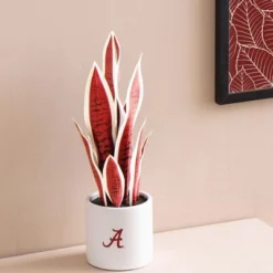 Forever Leaf University Of Alabama Faux Snake Plant, Indoor Artificial Plant For Home Decor -Artificial Plant Store GUEST 7406c8c6 a58b 4a19 9561 b0da1b229a93