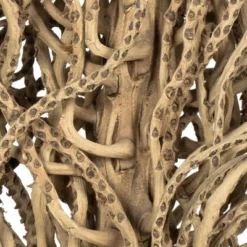 Vickerman Natural Medusa Branch, Dried 10 Vickerman Natural Medusa Branch, Dried -Artificial Plant Store GUEST 7734bf72 e321 4442 a8b3 5ce8d78f4659