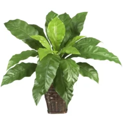 Nearly Natural Birds Nest Fern With Wicker Basket 5 Nearly Natural Birds Nest Fern With Wicker Basket -Artificial Plant Store GUEST 7785a6d6 a7fb 451f bd0e 47f57814cab5