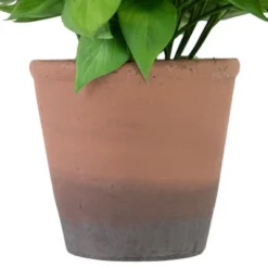 Northlight Real Touch™ Artificial Peperomia Watermelon Begonia Plant In Terracotta Style Pot - 7" -Artificial Plant Store GUEST 77ea09ec e45a 40aa abd9 3879e08d5894
