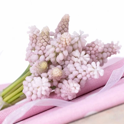 10ct Grape Hyacinths Pink Sunrise Bulbs - Van Zyverden 4 10ct Grape Hyacinths Pink Sunrise Bulbs - Van Zyverden - Image 2