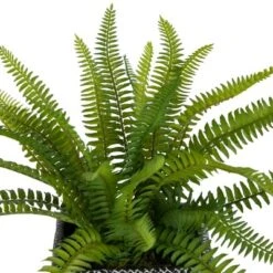 Northlight 20" Boston Fern Artificial Plant In Weathered Square Planter - Green/Gray -Artificial Plant Store GUEST 7bb3f4ea caa1 4b99 8453 8baa76f93982