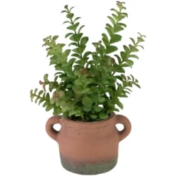 Northlight Real Touch™ Artificial Privet Plant In Vintage Milk Can Style Earthenware Pot - 14" 12 Northlight Real Touch™ Artificial Privet Plant In Vintage Milk Can Style Earthenware Pot - 14" -Artificial Plant Store GUEST 7bb5343f 410d 43a4 a6ac 409a8d669a88