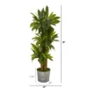 Nearly Natural 58-in Corn Stalk Dracaena Artificial Plant In Black Embossed Tin Planter (Real Touch) 2 Nearly Natural 58-in Corn Stalk Dracaena Artificial Plant In Black Embossed Tin Planter (Real Touch) -Artificial Plant Store GUEST 7dd57289 2eba 44e1 9f38 5eb2eb36665b