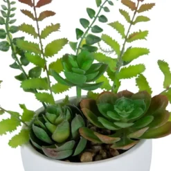 Northlight 11.5" Mixed Succulent And Fern Artificial Potted Plant - Green/White -Artificial Plant Store GUEST 7f8241e2 ab8c 4697 8ea6 69f7f6f8e85a
