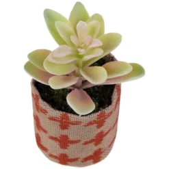 Northlight Artificial Pastel Succulent In Burlap Bag - 4.75" 12 Northlight Artificial Pastel Succulent In Burlap Bag - 4.75" -Artificial Plant Store GUEST 7fbdf512 d22a 4816 a38f baed5eb15568