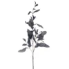 Vickerman 44.5" Dried Pomelo Leaves Spray