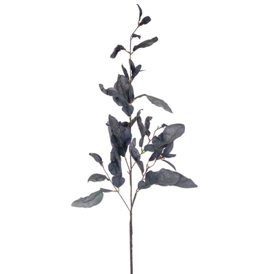 Vickerman 44.5" Dried Pomelo Leaves Spray 3 Vickerman 44.5" Dried Pomelo Leaves Spray