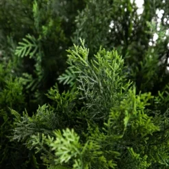 Nearly Natural 5-ft Artificial Cedar Bush UV Resistant (Indoor/Outdoor) 9 Nearly Natural 5-ft Artificial Cedar Bush UV Resistant (Indoor/Outdoor) -Artificial Plant Store GUEST 80cb0d6b 28cb 4724 bb87 f0aa773a800f