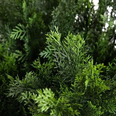 Nearly Natural 5-ft Artificial Cedar Bush UV Resistant (Indoor/Outdoor) 4 Nearly Natural 5-ft Artificial Cedar Bush UV Resistant (Indoor/Outdoor) - Image 2