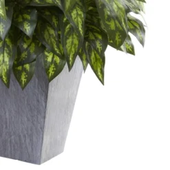 Silver King Plant With Slate Decorative Planter - Nearly Natural 5 Silver King Plant With Slate Decorative Planter - Nearly Natural -Artificial Plant Store GUEST 82d19446 c113 4788 b5a1 3c3377808626