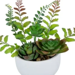 Northlight 11.5" Mixed Succulent And Fern Artificial Potted Plant - Green/White -Artificial Plant Store GUEST 82f8a62b 8fa4 429d 9fa5 6b7e717e6623