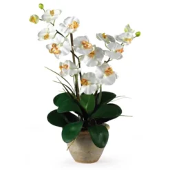 Nearly Natural Double Phalaenopsis Artificial Orchid Flower Arrangement, Cream 19 Nearly Natural Double Phalaenopsis Artificial Orchid Flower Arrangement, Cream -Artificial Plant Store GUEST 85ddd6d2 e6dd 4242 b0eb 272dda5507cc