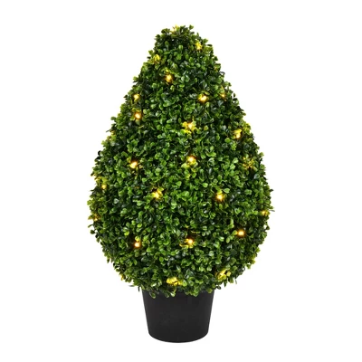 Vickerman Boxwood Teardrop Shaped Bush 4 Vickerman Boxwood Teardrop Shaped Bush - Image 2