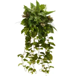 Nearly Natural 36-in Mixed Greens Hanging Artificial Plant (Set Of 2) 5 Nearly Natural 36-in Mixed Greens Hanging Artificial Plant (Set Of 2) -Artificial Plant Store GUEST 8815e6ed 9332 48e5 a633 cb772c5c6f99