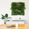 Nearly Natural 40"x40" UV Resistant Amazon Rainforest Artificial Living Wall Panel Green 1 Nearly Natural 40"x40" UV Resistant Amazon Rainforest Artificial Living Wall Panel Green -Artificial Plant Store GUEST 88534deb 5576 4b1c a843 3ae9b42b0c81