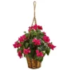 Nearly Natural Bougainvillea Flowering Artificial Plant In Hanging Basket 2 Nearly Natural Bougainvillea Flowering Artificial Plant In Hanging Basket -Artificial Plant Store GUEST 88fed8ab e87f 4659 9630 a8dc00015de6