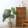 Forever Leaf 32" Artificial Monstera Plant In Cement Pot, Indoor Artificial Plant For Home Decor 2 Forever Leaf 32" Artificial Monstera Plant In Cement Pot, Indoor Artificial Plant For Home Decor -Artificial Plant Store GUEST 8923326c caf1 49bb 8140 ae36937fcfec