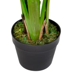 Northlight Potted Artificial Bird Of Paradise Plant - 43" 18 Northlight Potted Artificial Bird Of Paradise Plant - 43" -Artificial Plant Store GUEST 89e62d68 b0c7 4239 891d f691683221dc