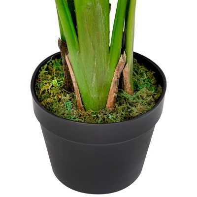 Northlight Potted Artificial Bird Of Paradise Plant - 43" 10 Northlight Potted Artificial Bird Of Paradise Plant - 43" - Image 8