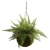 Artificial Leather Fern With Mossy Hanging Basket Indoor / Outdoor Set Of 2 - Nearly Natural -Artificial Plant Store GUEST 8e931eed fe55 497a a801 102a05c5af7c