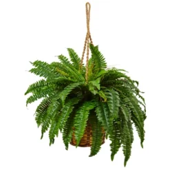 Nearly Natural Boston Fern Hanging Basket 5 Nearly Natural Boston Fern Hanging Basket -Artificial Plant Store GUEST 8f78f810 81a2 46b0 b51c 7909f584ca5f