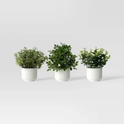 Herb Artificial Plant In White Pot - Room Essentials™ 13 Herb Artificial Plant In White Pot - Room Essentials™ -Artificial Plant Store GUEST 8f8cad37 de5b 41b2 926d 65320c060021