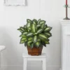 Nearly Natural Golden Dieffenbachia Artificial Plant 1 Nearly Natural Golden Dieffenbachia Artificial Plant -Artificial Plant Store GUEST 951293c6 d1e4 4ed5 977d fa267fd79848