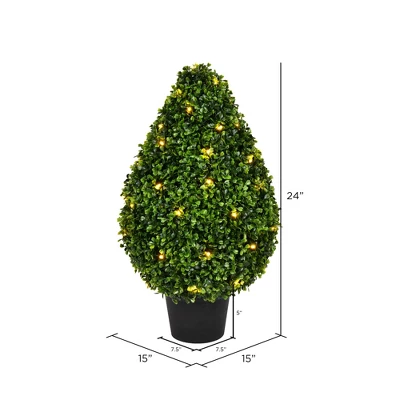 Vickerman Boxwood Teardrop Shaped Bush 3 Vickerman Boxwood Teardrop Shaped Bush