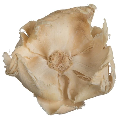 Vickerman Natural Botanicals 2.75" Palm Cap 4 Vickerman Natural Botanicals 2.75" Palm Cap - Image 2