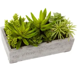 Nearly Natural Succulent Garden With Concrete Planter