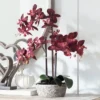 Studio 55D Potted Silk Faux Artificial Flower Realistic Red Orchid In Crackle Gray Vase For Home Decoration Living Room 24" High -Artificial Plant Store GUEST 98b442f5 e71f 4534 b44c 14ea30343701