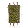 Nearly Natural 41-in X 19-in Mixed Succulent Artificial Living Wall 1 Nearly Natural 41-in X 19-in Mixed Succulent Artificial Living Wall -Artificial Plant Store GUEST 98e5510d 8065 440d ba76 939fee2e85ab