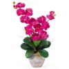 Nearly Natural Double Phalaenopsis Artificial Orchid Flower Arrangement, Cream 2 Nearly Natural Double Phalaenopsis Artificial Orchid Flower Arrangement, Cream -Artificial Plant Store GUEST 9b7063e6 1592 43f1 9a68 8fdcdd33aedb