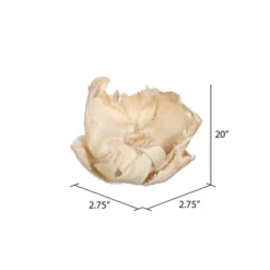 Vickerman Natural Botanicals 2.75" Palm Cap 15 Vickerman Natural Botanicals 2.75" Palm Cap -Artificial Plant Store GUEST 9bfecaa8 f38c 49b8 9b14 963af28cbd8d