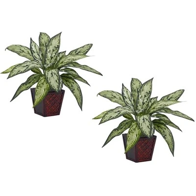 Nearly Natural Silver Queen Artificial Plant (Set Of 2) 3 Nearly Natural Silver Queen Artificial Plant (Set Of 2)