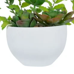 Northlight 11.5" Mixed Succulent And Fern Artificial Potted Plant - Green/White -Artificial Plant Store GUEST a07304ca 9cf8 426c a772 086014d64178