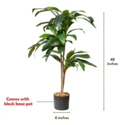 Forever Leaf 48" Artificial Dracaena Plant In Black Pot, Indoor Artificial Plant For Home Decor 11 Forever Leaf 48" Artificial Dracaena Plant In Black Pot, Indoor Artificial Plant For Home Decor -Artificial Plant Store GUEST a12b4d3f 7152 407a 9842 369364295109