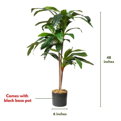 Forever Leaf 48" Artificial Dracaena Plant In Black Pot, Indoor Artificial Plant For Home Decor 7 Forever Leaf 48" Artificial Dracaena Plant In Black Pot, Indoor Artificial Plant For Home Decor - Image 5