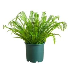 Nearly Natural 27-in UV Resistant Artificial Real Touch Boston Fern Plant (Indoor/Outdoor)