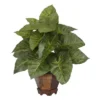Nearly Natural 17-in Taro W/Vase Silk Plant -Artificial Plant Store GUEST a165f10e c37e 42d5 b955 6fbb5a8b9a75