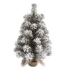Transpac Artificial 18 In. Multicolor Christmas Snow Colorado Tree With Bagged Stand 1 Transpac Artificial 18 In. Multicolor Christmas Snow Colorado Tree With Bagged Stand -Artificial Plant Store GUEST a38084e0 2e20 4046 abce 4f3a67c39d93