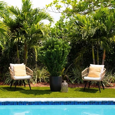 Nearly Natural 5-ft Artificial Cedar Bush UV Resistant (Indoor/Outdoor) 6 Nearly Natural 5-ft Artificial Cedar Bush UV Resistant (Indoor/Outdoor) - Image 4