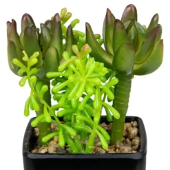 Northlight 6" Potted Green Artificial Succulent Arrangement -Artificial Plant Store GUEST a5ce9c15 faf9 4b17 b965 a8ff08a59562
