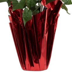 Northlight 26" White Artificial Christmas Poinsettia In Red Wrapped Base 10 Northlight 26" White Artificial Christmas Poinsettia In Red Wrapped Base -Artificial Plant Store GUEST a5ffe649 2329 412d b16f 13139f8caa12